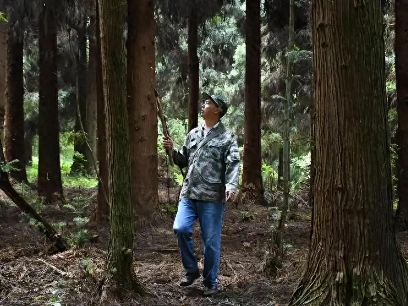 500万网彩票网-监守自盗！2021年，江苏一护林员2年多猎杀8只，清洗尸体时暴露